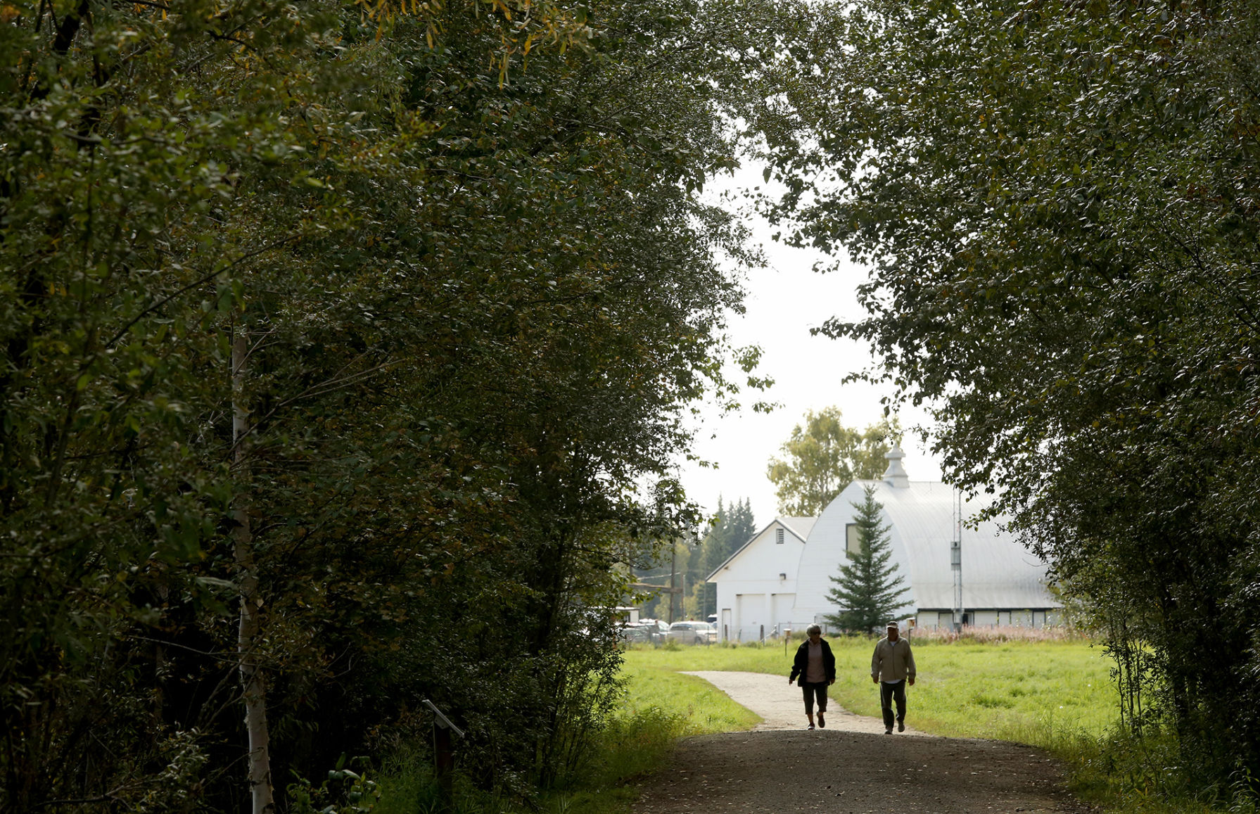 Our Town: Creamer's Field